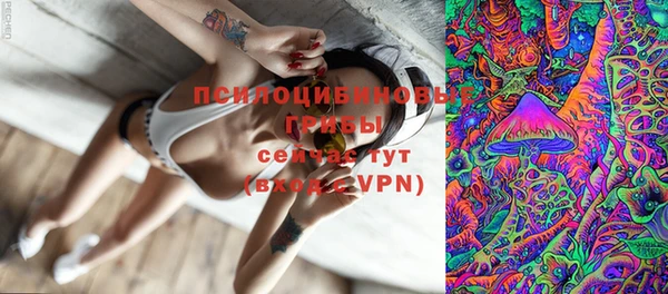 дмт Покров