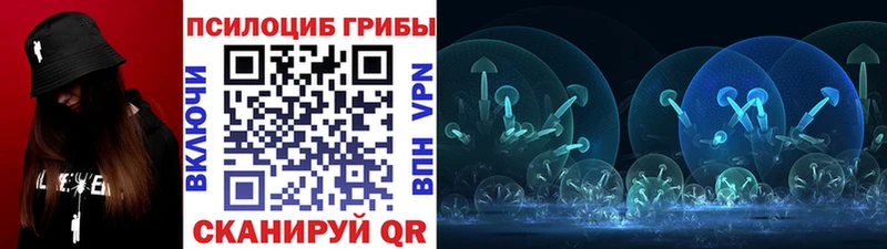 Галлюциногенные грибы Psilocybine cubensis Калтан
