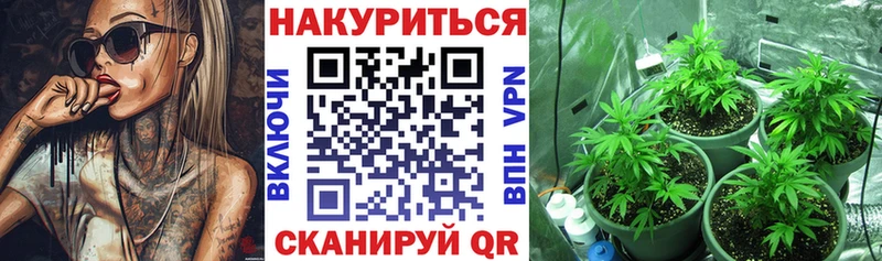 сколько стоит  Калтан  Конопля план 